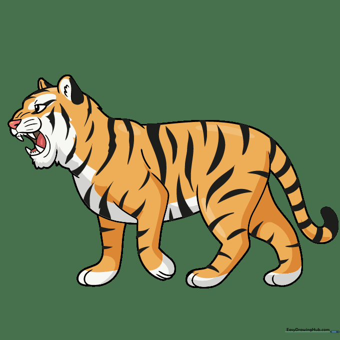 A fully colored, vibrant roaring tiger illustration.