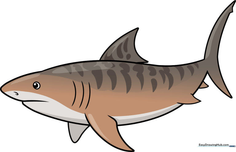 A completed, colorful cartoon tiger shark swimming in the ocean.