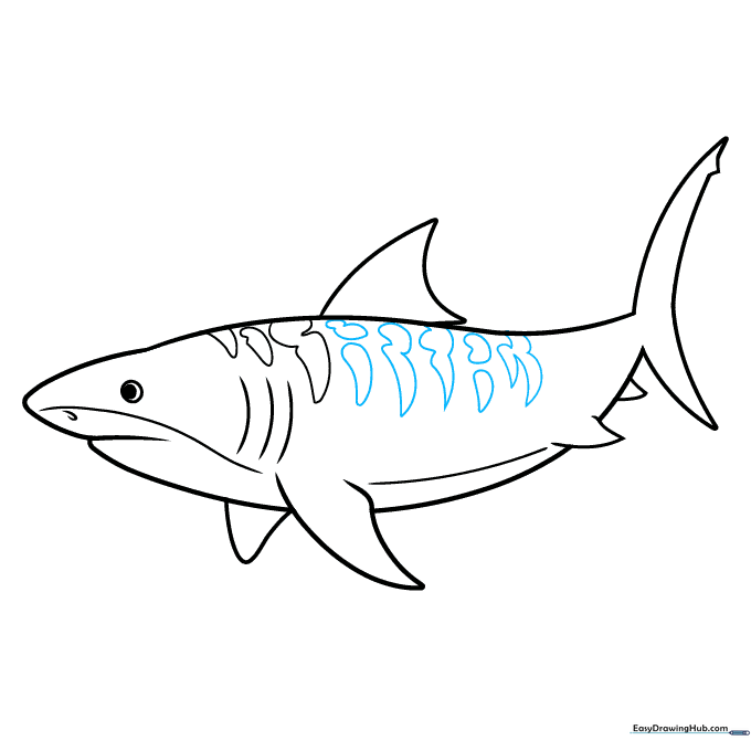 Adding additional spots and teardrop markings to the shark's back.