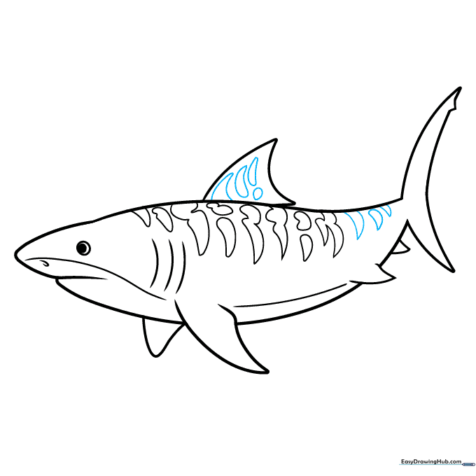 Finalizing the outline and adding finishing details to the shark's fins.