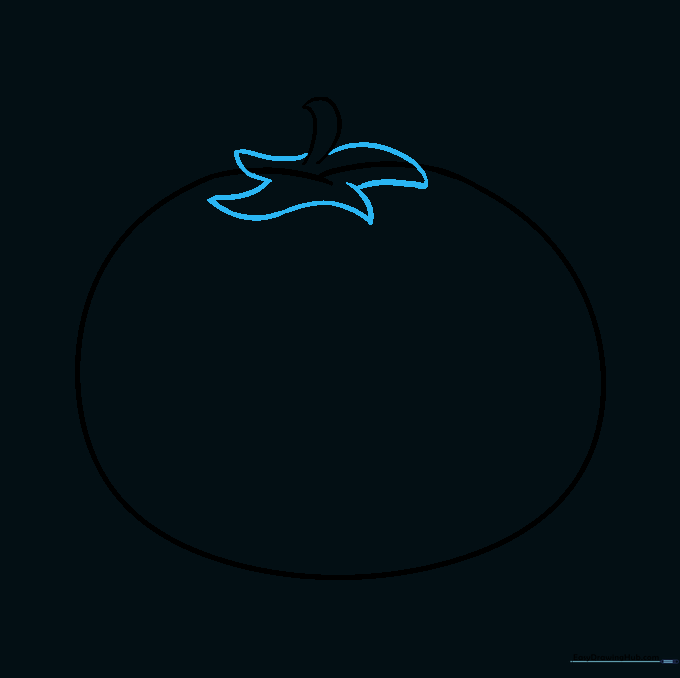 A star-shaped sepal drawn around the base of the tomato stem.
