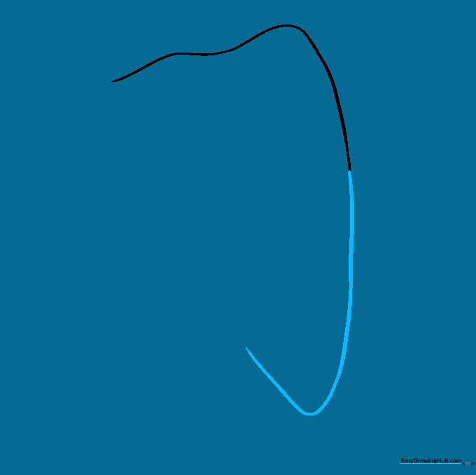 Sketch showing the addition of a rounded V-shaped root to the tooth base.