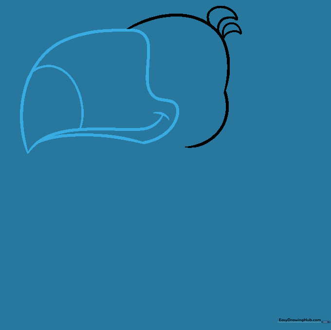 Illustration of a large, curved toucan beak with a segmented tip and horizontal dividing line.