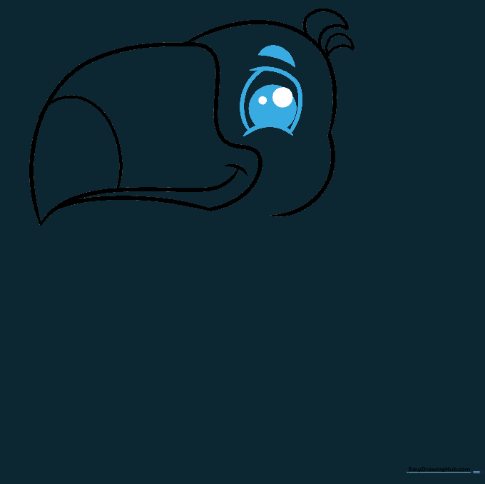 Close-up drawing of a toucan's eye with a defined pupil and a sharp, shaded eyebrow.