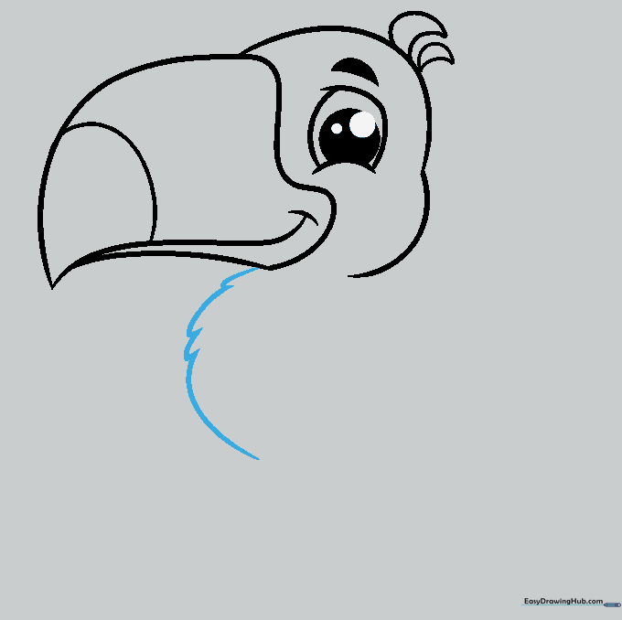 Drawing of the toucan's chest featuring a series of overlapping, soft curved lines.