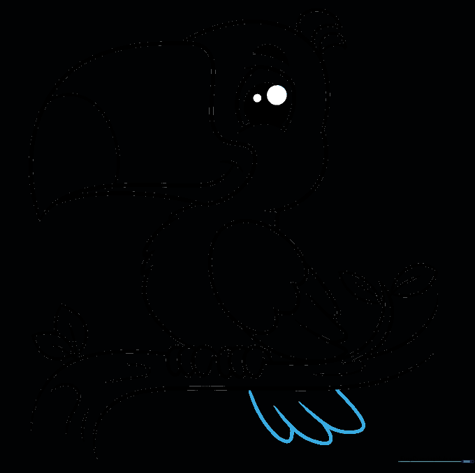 Final outline drawing of the toucan, now including the tail feathers.