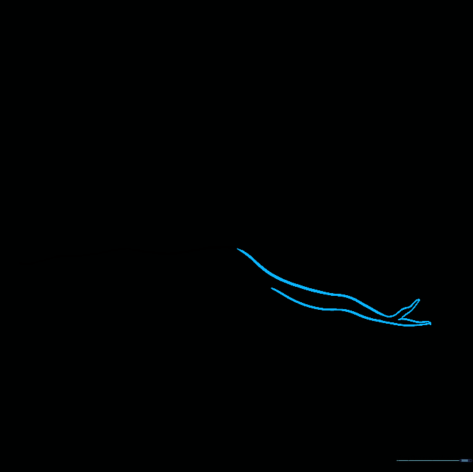 Two wavy lines connecting at a V-shape to form a small twig extending from the main branch.