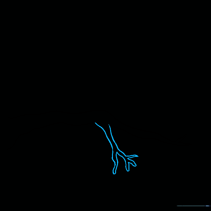 A tree branch with an additional smaller twig branching off the bottom side.