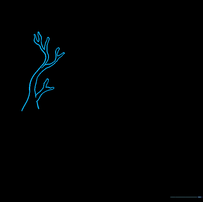 A tree branch with a new twig extending upward from the top edge.