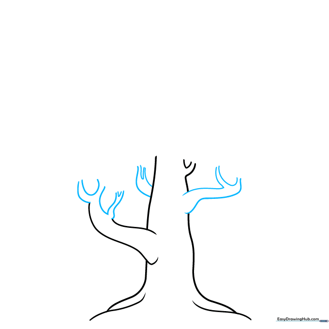 Drawing the first two main branches extending from the top of the tree trunk.