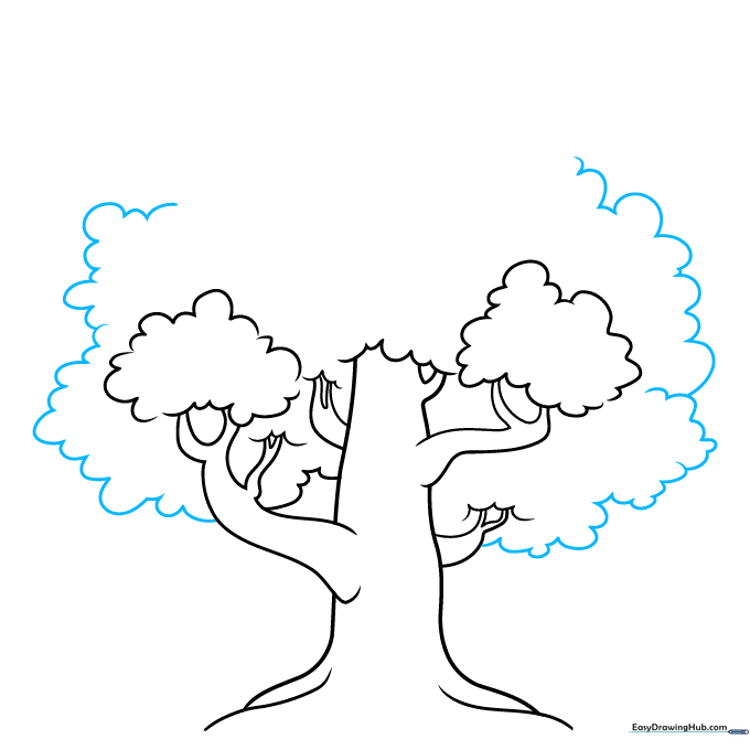 Defining the outer edges of the tree canopy with smooth, connected curves.