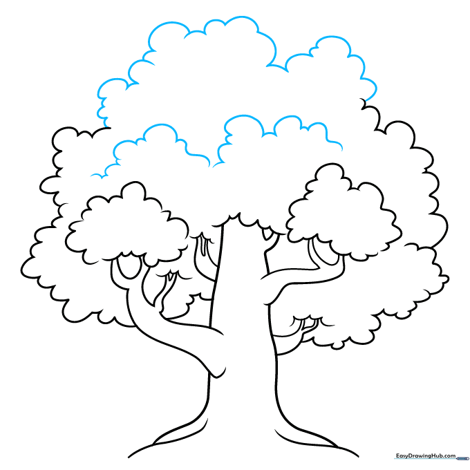 Adding internal curved lines within the canopy to create texture and leaf detail.