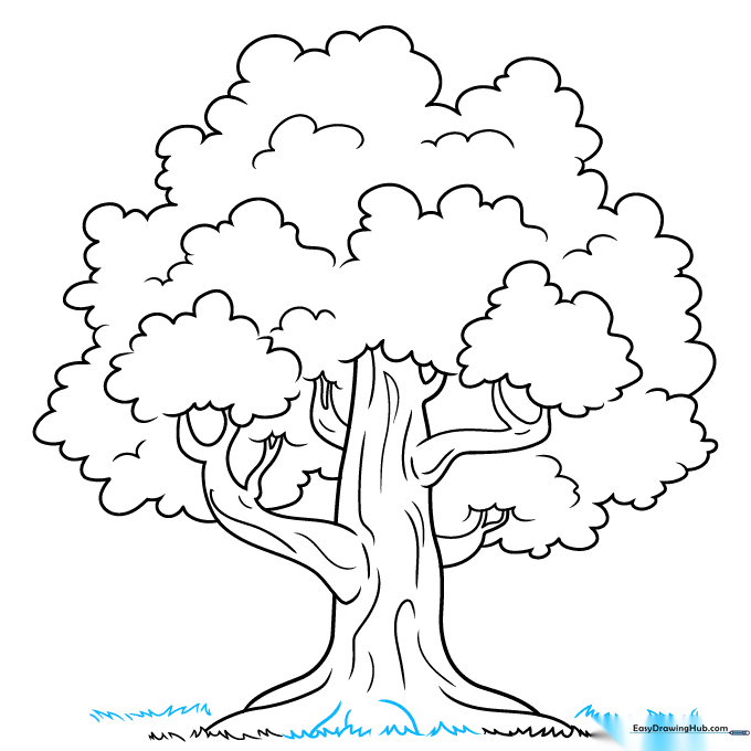 Finalizing the drawing by adding extra grass and a visible root at the base.