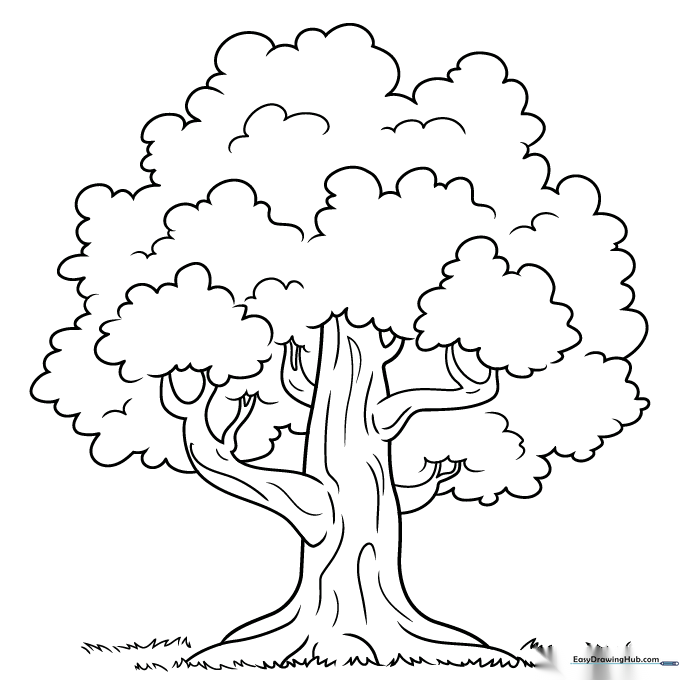 A finished, colored tree drawing with brown bark and green leaves.