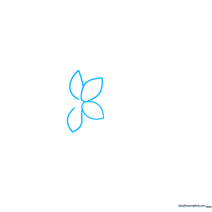 Four overlapping teardrop shapes sketched in light pencil as the base of a tuberose flower.