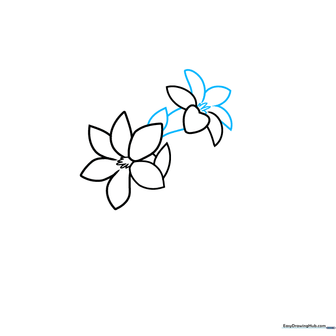 Drawing additional flower buds and connecting them with a central stem line.