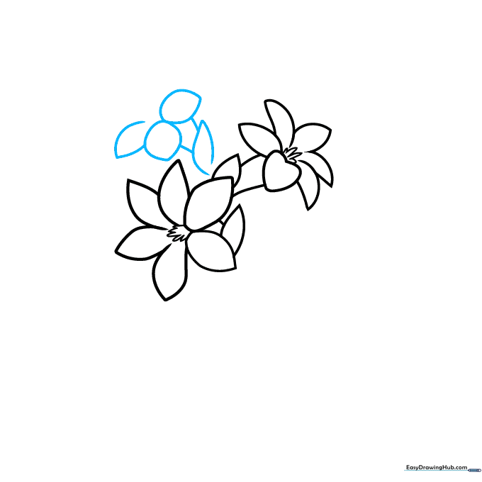 Adding a new flower section using football-shaped petals attached to the stem.