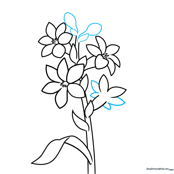 Drawing flower buds and base bulbs to complete the tuberose plant structure.
