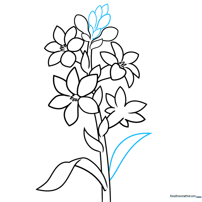 Adding final unopened flower buds and a long leaf to the top of the tuberose drawing.