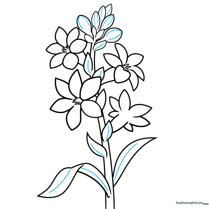 The final clean line art of the tuberose, ready for coloring.