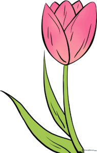 A colorful, finished tulip drawing, perfect for spring art projects.