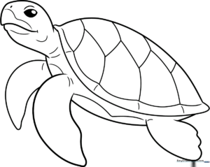 A completed, friendly-looking sea turtle drawing.