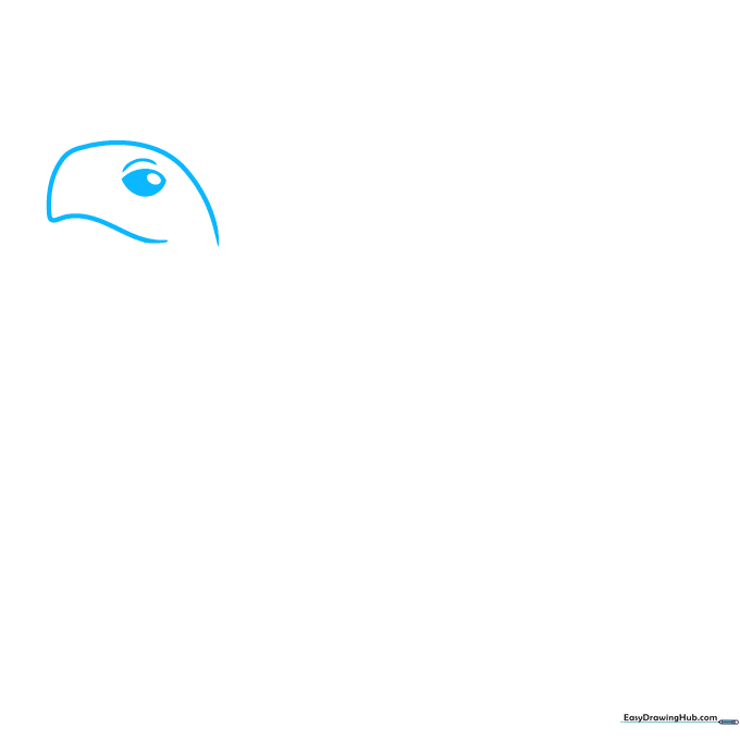 Close-up pencil sketch of a turtle head with a defined beak and eye.