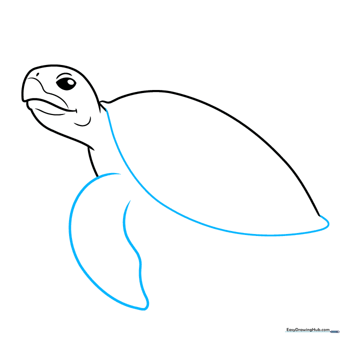 Adding the first large front flipper to the turtle's body.