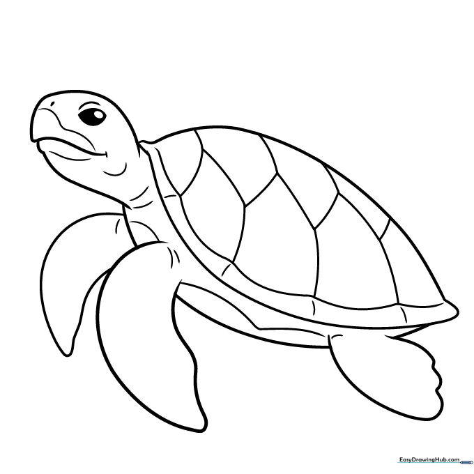 A fully colored sea turtle drawing.