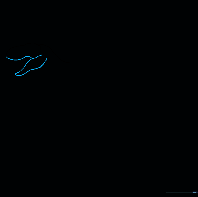 Drawing the open jaw structure of a T-Rex using overlapping curved lines.