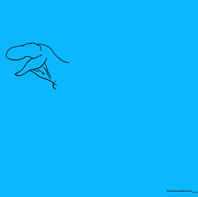 Drawing the long, sweeping curve of the T-Rex back and tail.