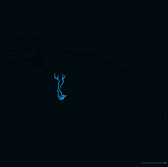 Adding the iconic short T-Rex arm with clawed fingers.