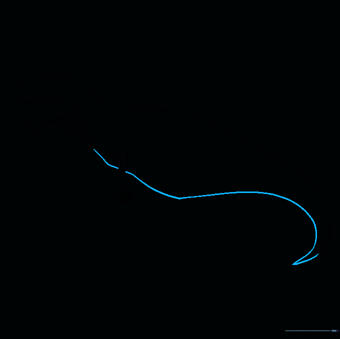 Drawing the underside belly line connecting the shoulder to the tail.