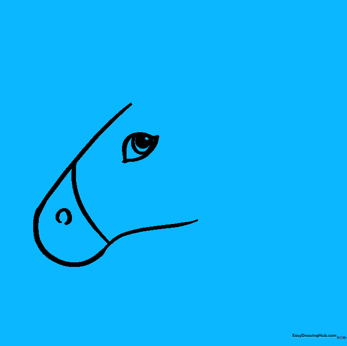Unicorn head with a spiraled horn and a pointed ear added to the top.