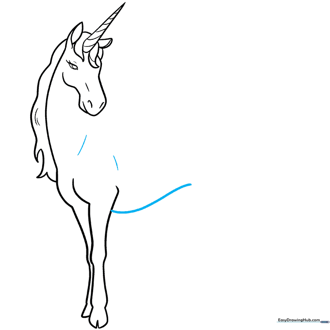Drawing the rounded belly line connecting the front legs to the torso.
