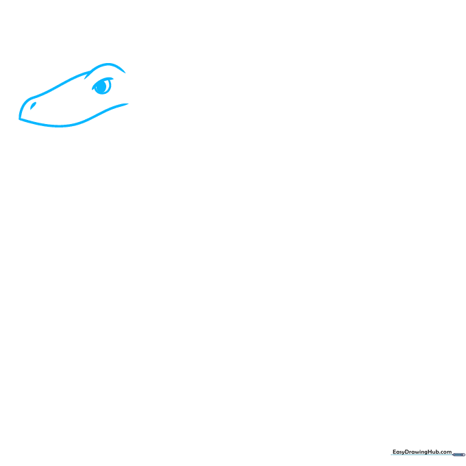 Close-up sketch of a Velociraptor head showing the eye ridge, snout, and teardrop-shaped nostril.