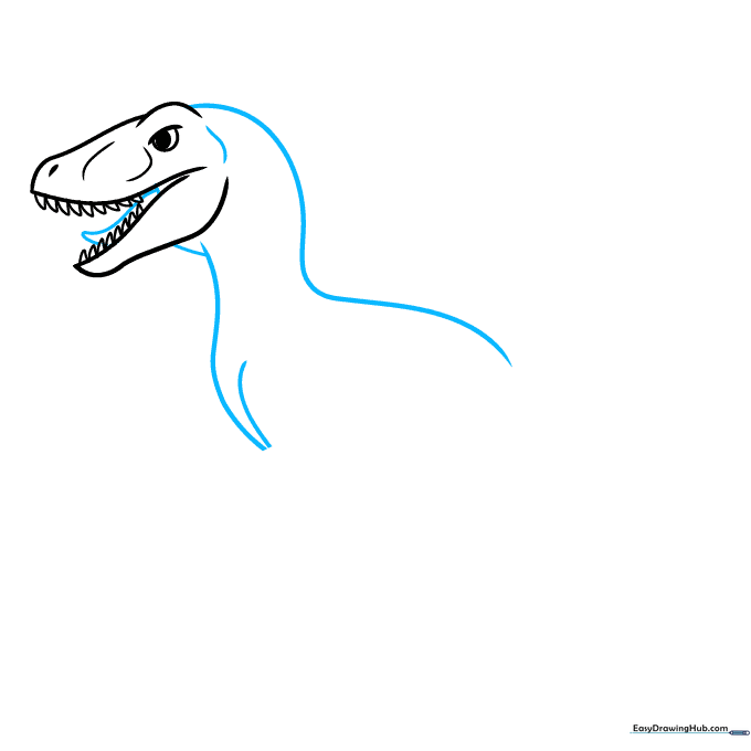 Sketching the long, curved neck and back line of the Velociraptor.