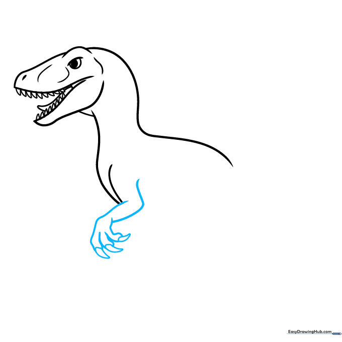 Detailing the Velociraptor's forearms and sharp, curved claws.