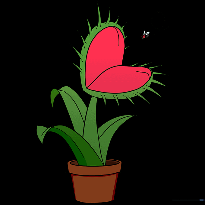 A fully colored cartoon Venus flytrap with green leaves and red lobes.