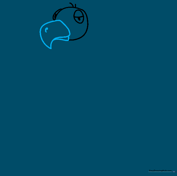 Drawing the sharp, hooked beak of a vulture with a small spiral detail for the nostril.