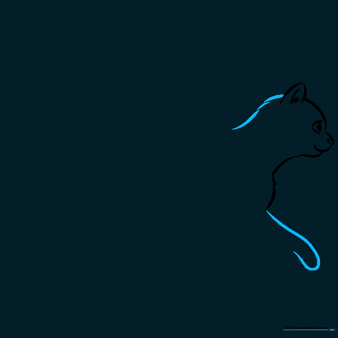 Cat body outline showing the back curve and the start of the front leg loop.