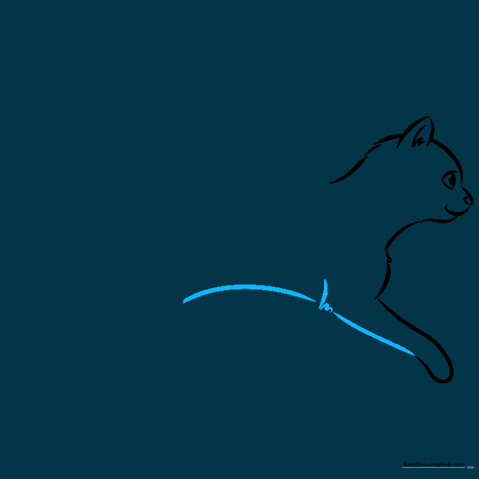 Cat front leg outline showing the curve of the limb in a walking position.