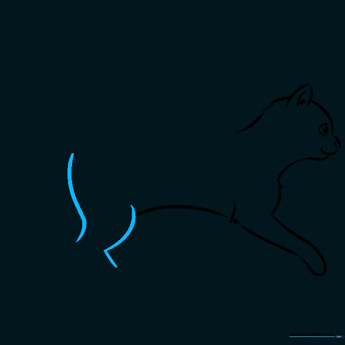 Cat back and tail outline showing a graceful S-curve.