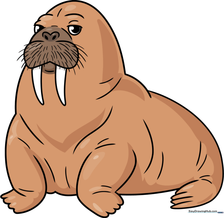 A friendly, finished cartoon walrus drawing, colored and ready to display.