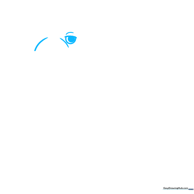 Close-up sketch of a walrus eye and snout outline on white paper.