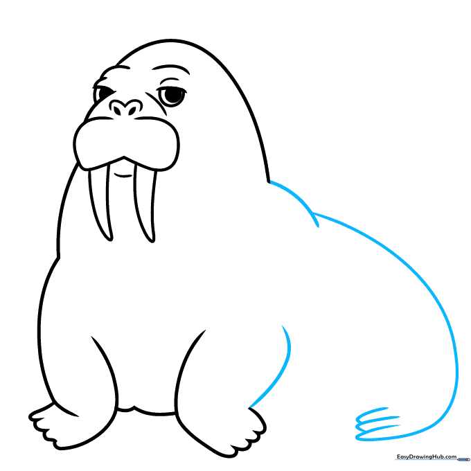 Adding the back and tail section to the walrus body.