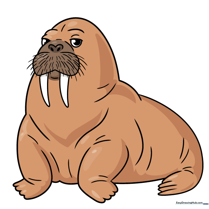 A fully colored cartoon walrus with brown skin and white tusks.