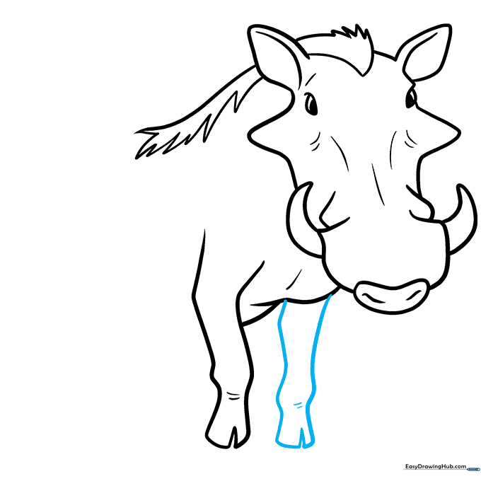 Drawing the second front leg to complete the warthog's stance.