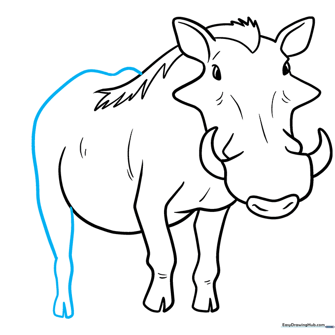 Adding the rear leg and rump to the warthog's body outline.