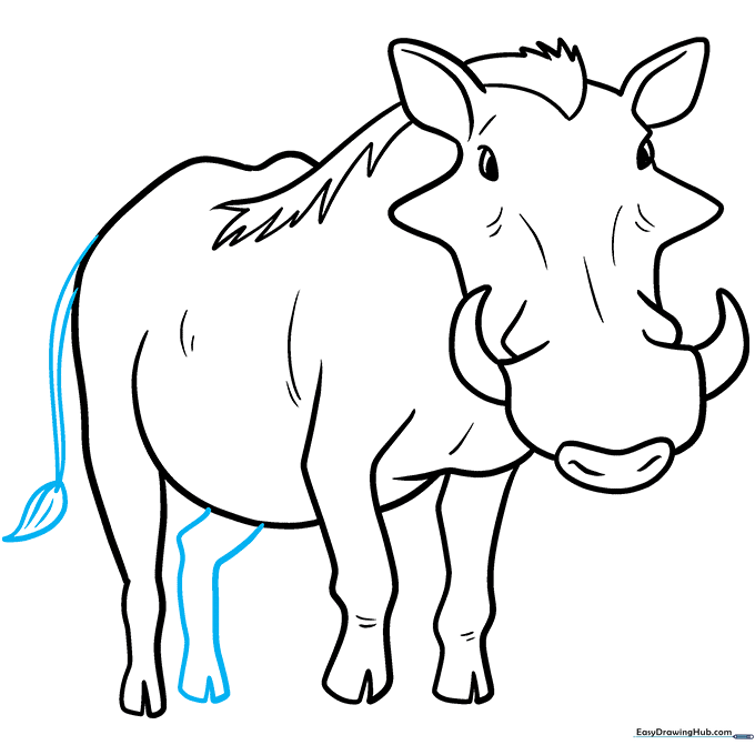 Completing the warthog drawing with the final leg and a tufted tail.